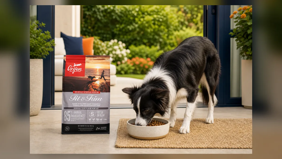 Alimento para Perro Adulto: Guía y Mejores Opciones